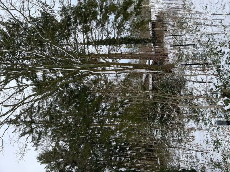 Fläche 1 - Grundstück kaufen in Deinste - Idyllisches Waldgrundstück mit Wohlfühlfaktor (nur Wochenend-/ Feriennutzung zulässig)