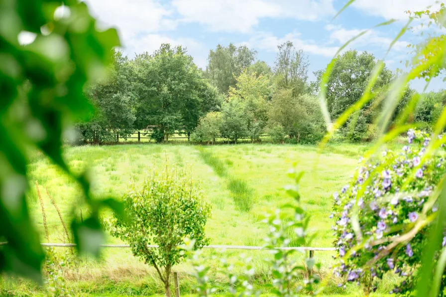 Ausblick Weide