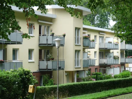 Seniorenwohnpark 006 - Wohnung mieten in Stade - Frisch sanierte Seniorenwohnung: Zwei Zimmer in ruhigem Umfeld