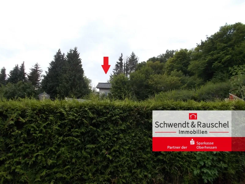 Ansicht - Haus kaufen in Gedern - Wohnen im Grünen - Wochenendhaus in Gedern Mittel-Seemen