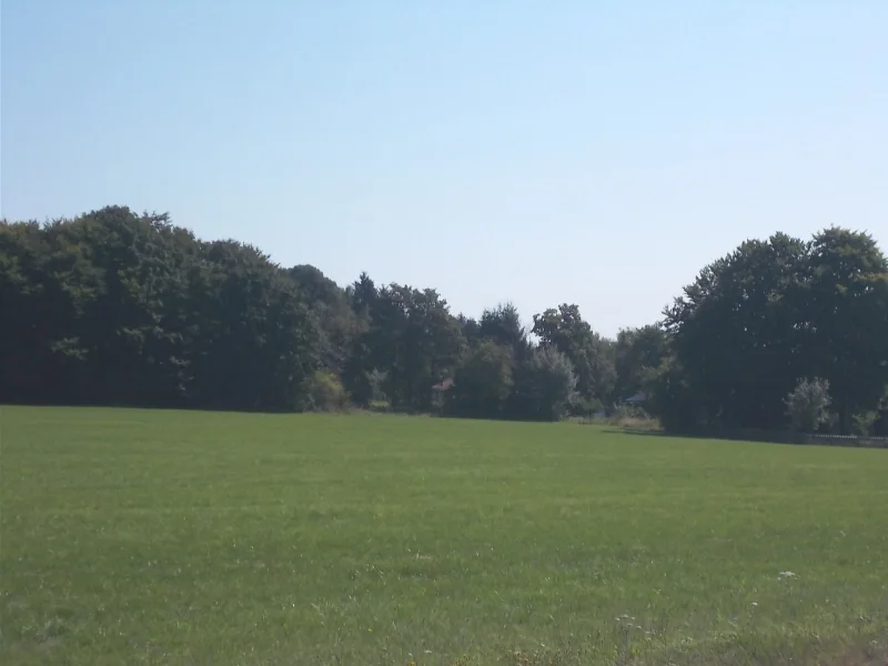 Blick zur Siedlung