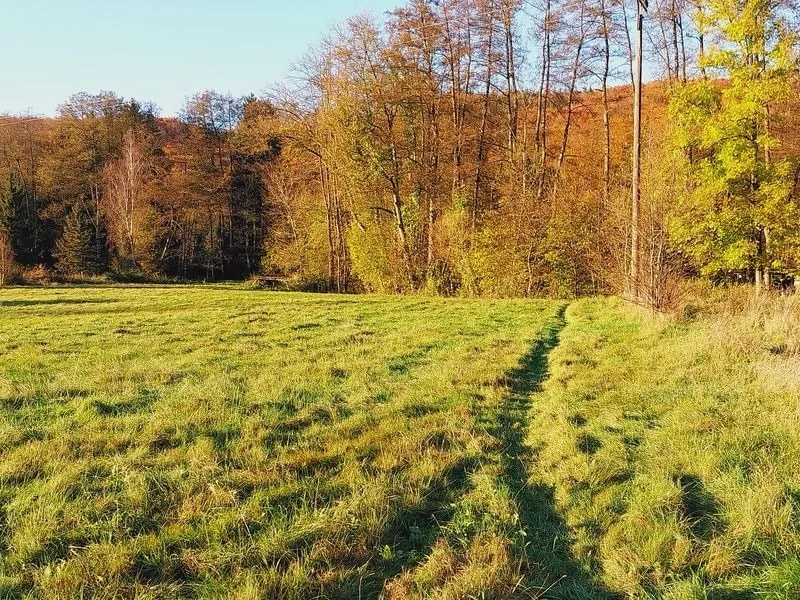 Grundstück