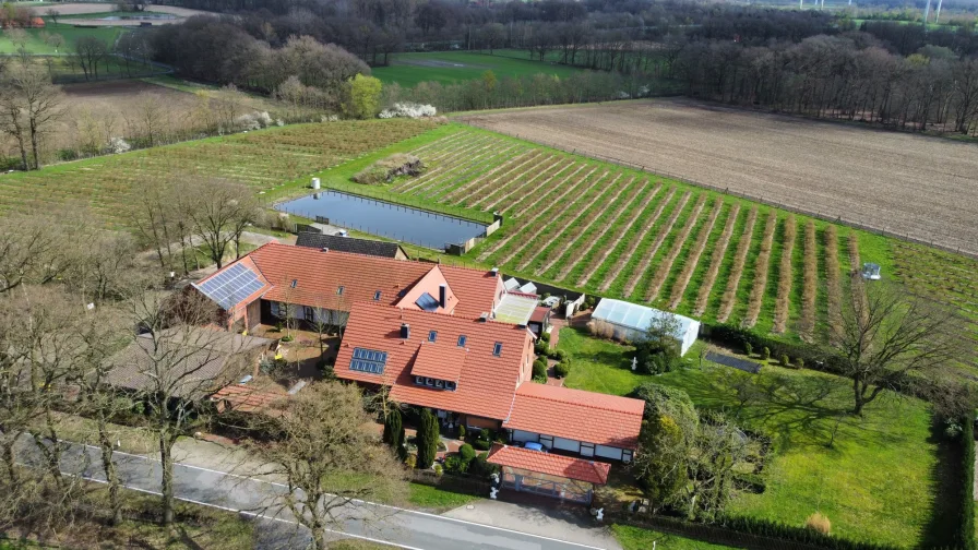  - Haus kaufen in Telgte - Mit der Natur im Einklang - Landwirtschaftliches Anwesen mit Potenzial!