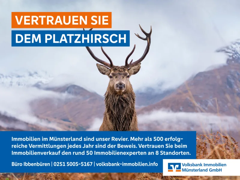 Platzhirsch_EbayKleinanzeigen_2400x1800Pixel_221201_Ibbenbueren