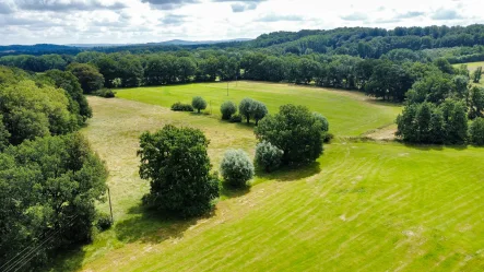  - Grundstück kaufen in Tecklenburg - Wiesenflächen mit ca. 8,2 ha in Tecklenburg-Ledde!