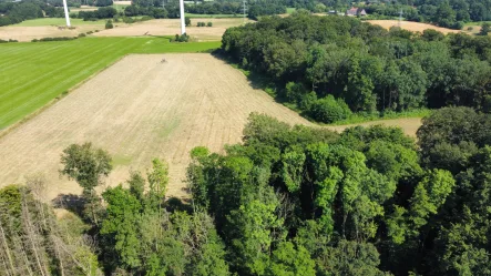  - Grundstück kaufen in Tecklenburg - Waldflächen im Außenbereich von Tecklenburg-Ledde!