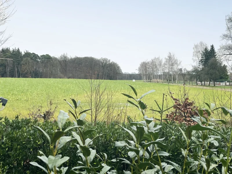 Ein wunderschöner Blick in die Natur!