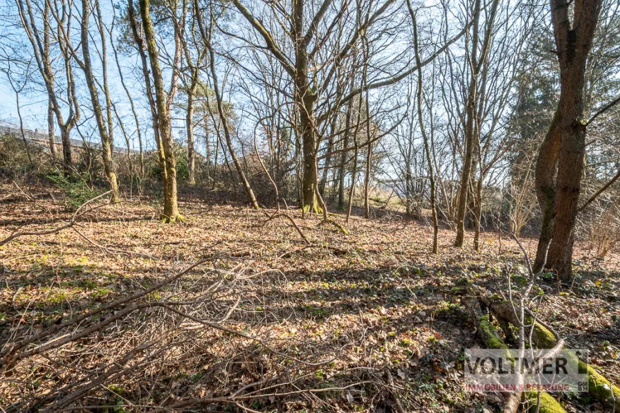 Grundstück - Grundstück kaufen in Neunkirchen/Saar - GEFRAGT - Baugrundstück in begehrter Lage von Kohlhof!