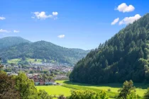 Ausblick zur Kernstadt Waldkirch