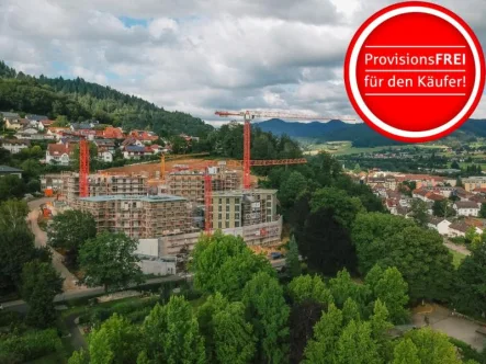 Haus A und B im September 24 - Wohnung kaufen in Waldkirch - Nachhaltig mit Komfort und neue degressive AfA