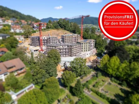 Baustelle September 24 - Wohnung kaufen in Waldkirch - Helle Neubau-Komfortwohnung mit großer Sonnenterrasse in Freiburgnähe