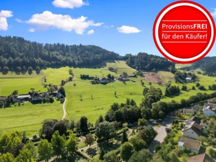 Kohlenbacher Tal - Wohnung kaufen in Waldkirch - Helle Komfortwohnung mit großer Sonnenterrasse und schöner Aussicht!