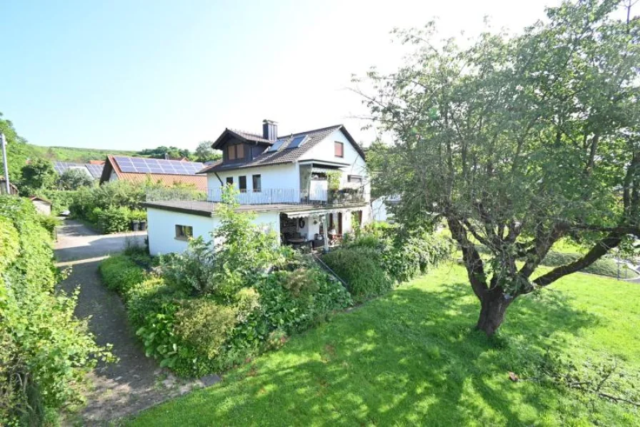 Hausansicht Rückseite - Haus kaufen in Malterdingen - Dreifamilienhaus mit Potential - Grundstück teilbar+ zusätzlich bebaubar mit einem weiteren Haus