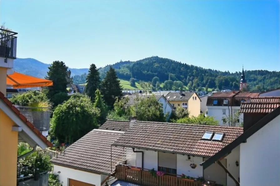 Ausblick - Wohnung kaufen in Waldkirch - Lichtdurchflutete Dachgeschosswohnung mitten in der Stadt.Bezugsfrei im Frühjahr 2025