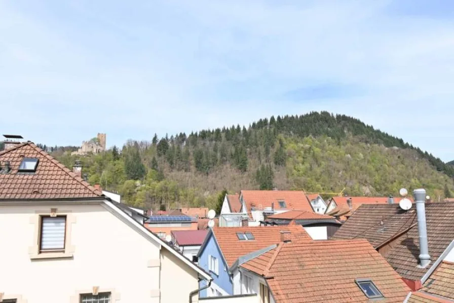 Blick zur Kastelburg