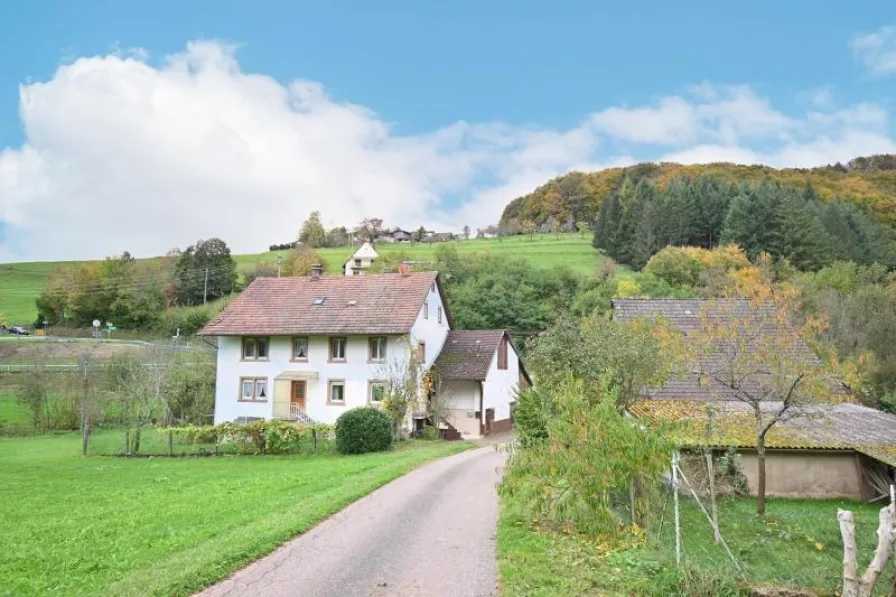 idyllische Lage in Freiamt