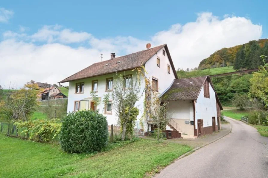 Hausansicht - Haus kaufen in Freiamt - An einem Bachlauf gelegenes älteres Wohnhausmit Scheune  