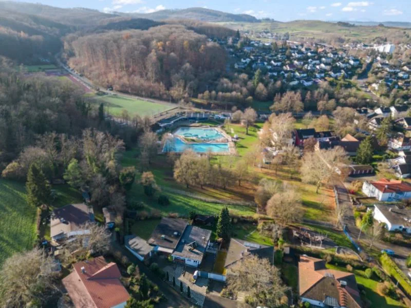 Ausblick - Haus kaufen in Müllheim - Doppelhaushälfte in Ortsrandlage mit unverbauter Aussicht