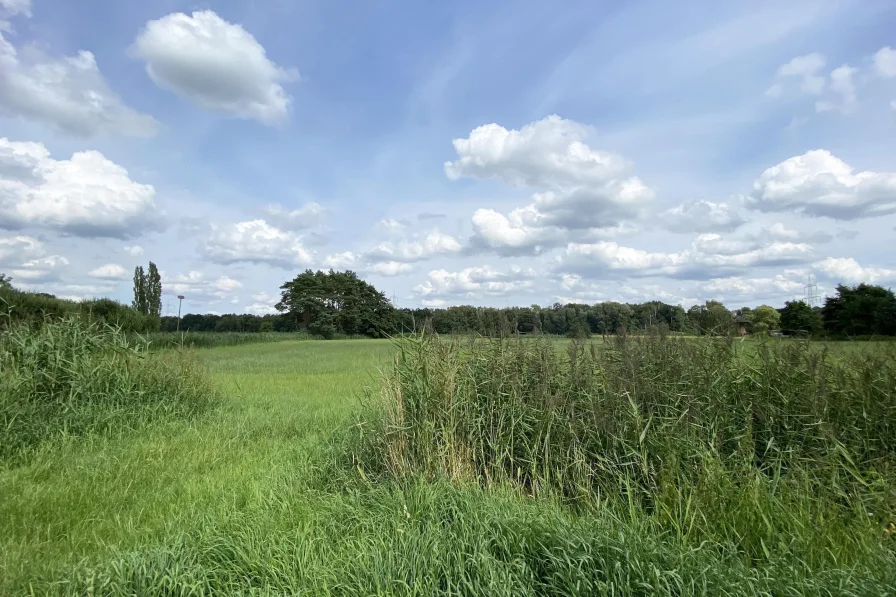 Die Natur direkt vor der Haustür