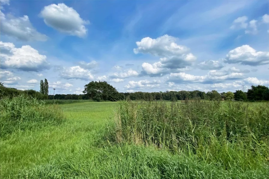 Die Natur direkt vor der Haustür