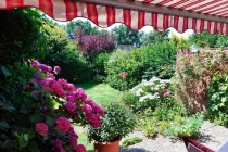 Garten im Sommer