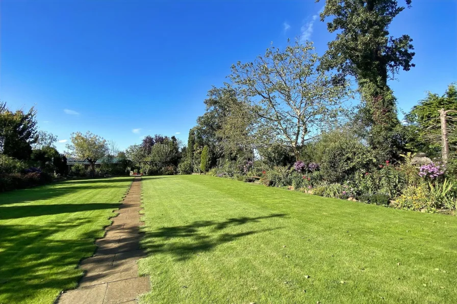 Blick in den Garten