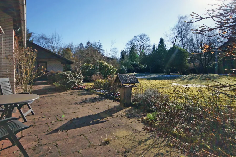 Blick in den Garten