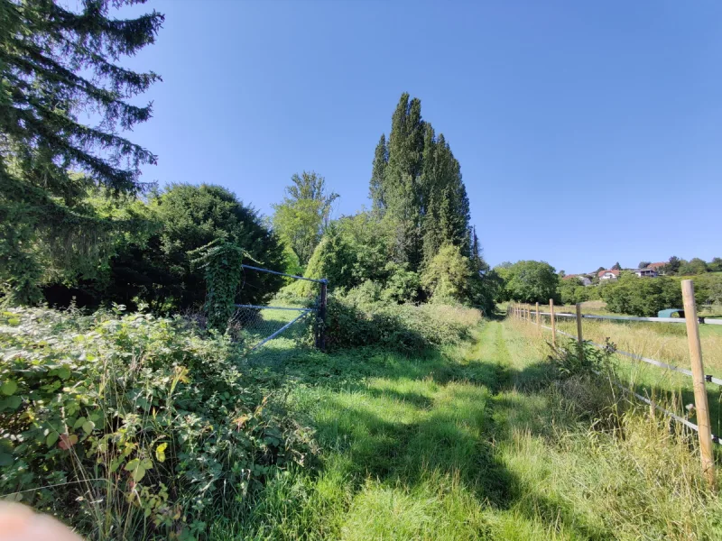 Blick von Nordwesten Weg - Grundstück kaufen in Partenheim - PROVISIONSFREI Abenteuerurlaub, wann immer ich möchte