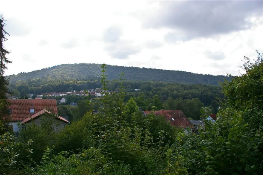 Ausblick vom Balkon