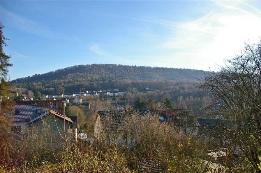 Aussicht vom Balkon