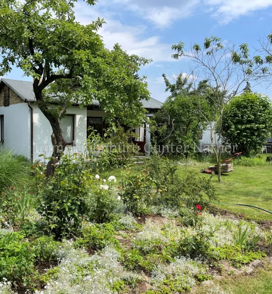 Ansicht 1 - Haus kaufen in Machern - Wochenendgrundstück mit massivem Bungalow vor den Toren Leipzigs