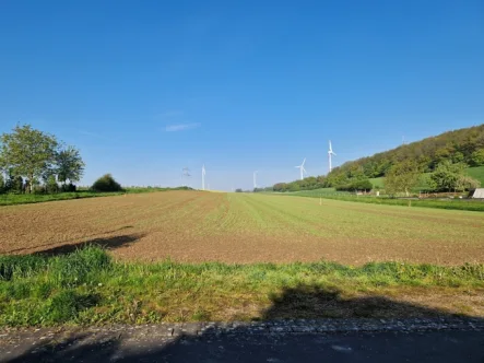 Straßenansicht - Grundstück kaufen in Vettweiß-Ginnick - "Ihr Projekt 2024!"