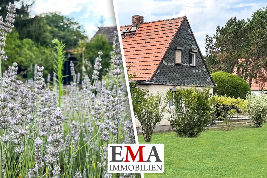 Doppelhaushälfte in Falkensee   - Haus kaufen in Falkensee - Doppelhaushälfte mit großem Grundstück wartet auf Ihre kreativen Sanierungsideen!