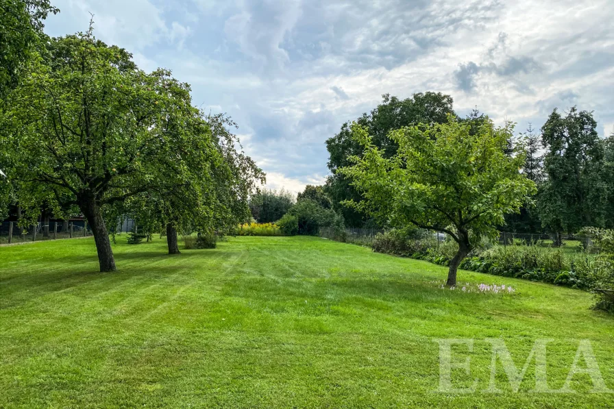 Obstgarten mit Apfel,- Birnen- und Pfirsichbäumen