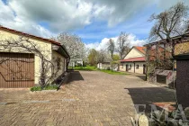 Frühlingserwachen Innenhof mit Blick zu den blühenden Kirschbäumen 