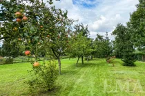 großer Obstgarten