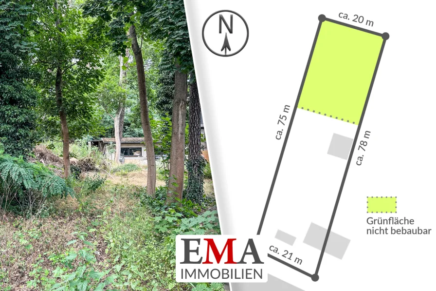 Baugrundstück in Glienicke Nordbahn - Grundstück kaufen in Glienicke/Nordbahn - Ihr Traumhaus beginnt hier: Großes Baugrundstück mit leichter Hanglage!