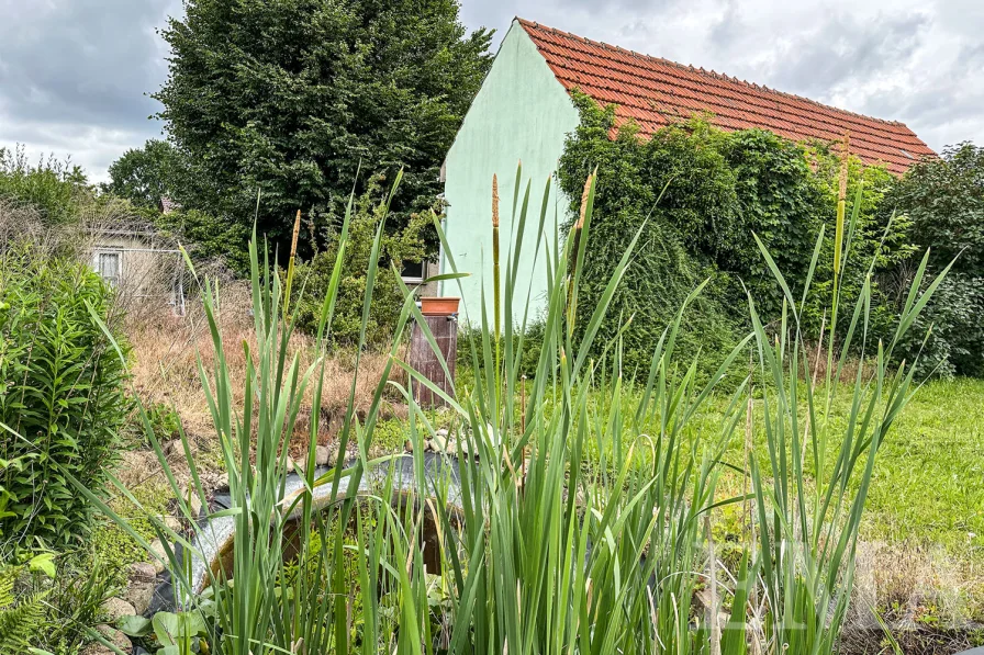 Teilansicht Garten mit Gartenteich