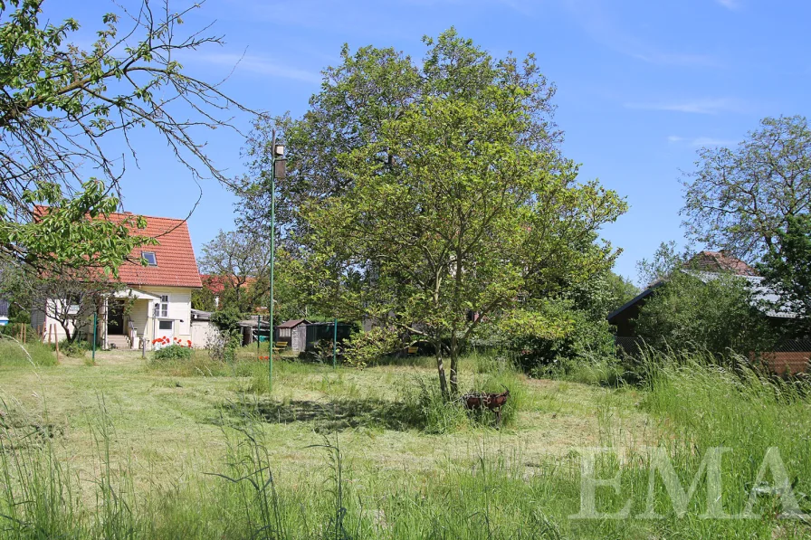 Blick vom Garten