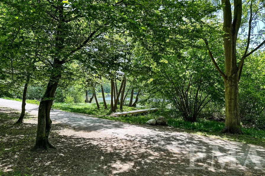 Waldparkweg zum See