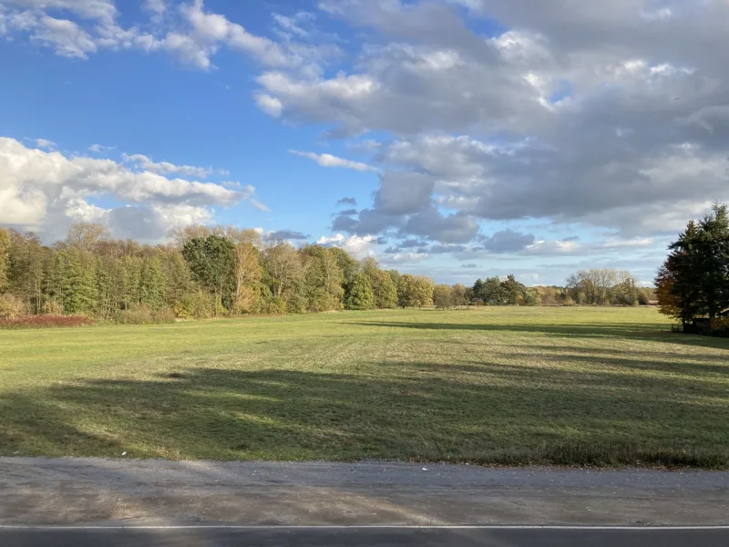 Wald- und Wiesenlandschaft gegenüber dem Wohnhaus