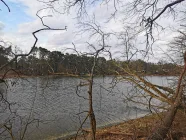 Blick von der Böschungskante des Grundstücks auf den Elsensee