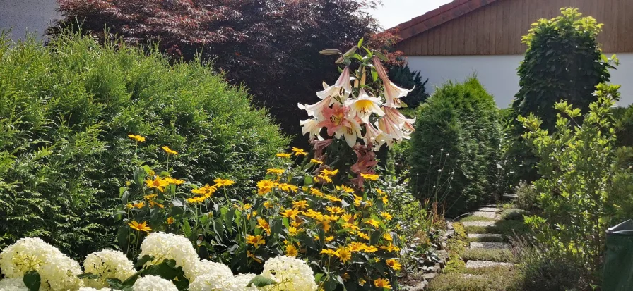 Blumengarten an der linken Grundstücksgrenze