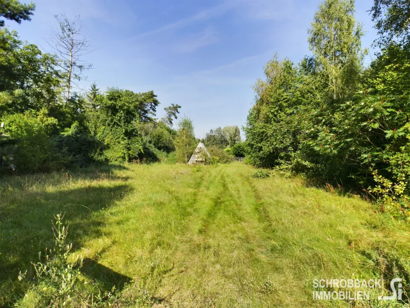 Blick auf das Grundstück - Grundstück kaufen in Grünheide (Mark) - Nur noch ein von drei nebeneinanderliegenden Baugrundstücken erwerbbar