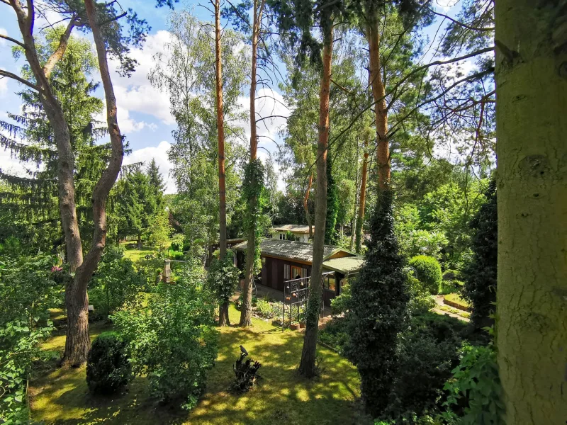 Blick von Straße auf das Grundstück