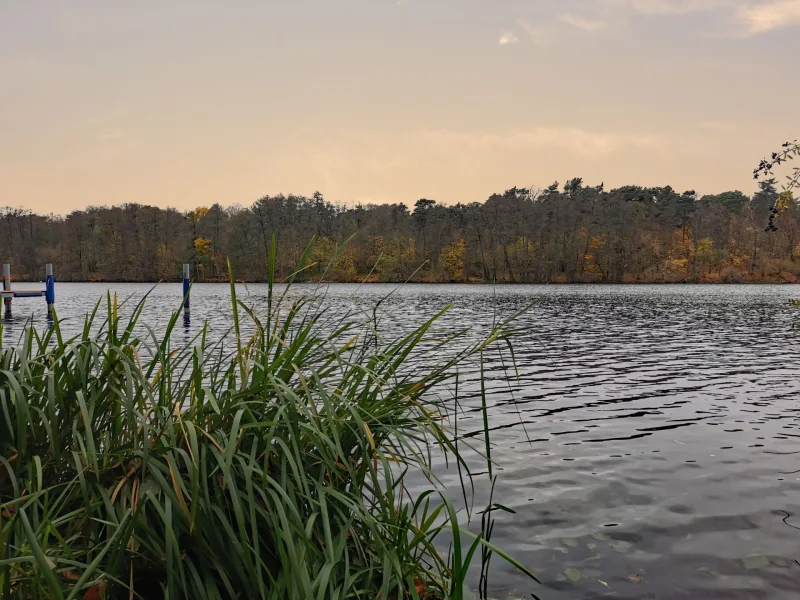 Zugang zum Möllensee