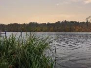 Zugang zum Möllensee