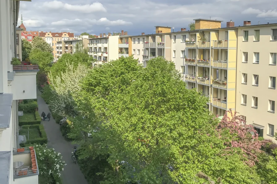 Aussicht von Balkon - Wohnung kaufen in Berlin - Eleganz trifft auf Altbaucharme – Stilvolle 3,5-Zimmer-Wohnung in bester Lage