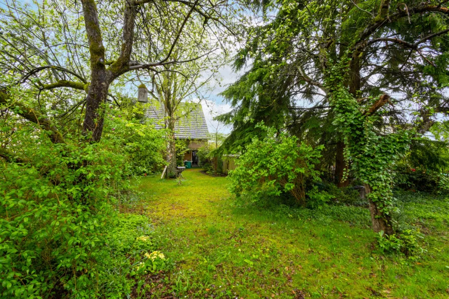 Titelbild - Haus kaufen in Rösrath - Rösrath: Freistehendes Einfamilienhaus mit schönem Grundstück in ruhiger Lage.