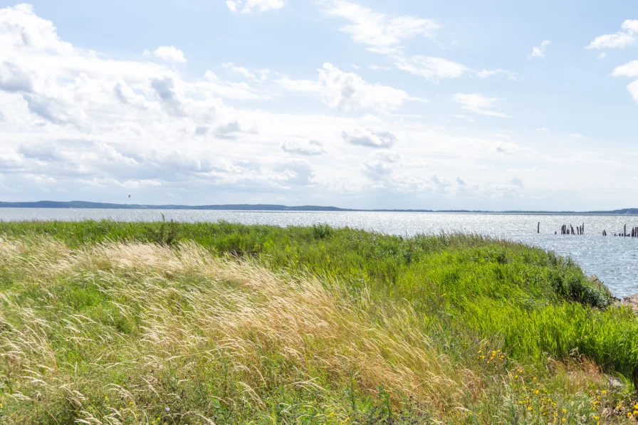 Jasmunder Bodden